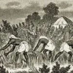 Significance of Champaran movement in India’s journey of freedom struggle