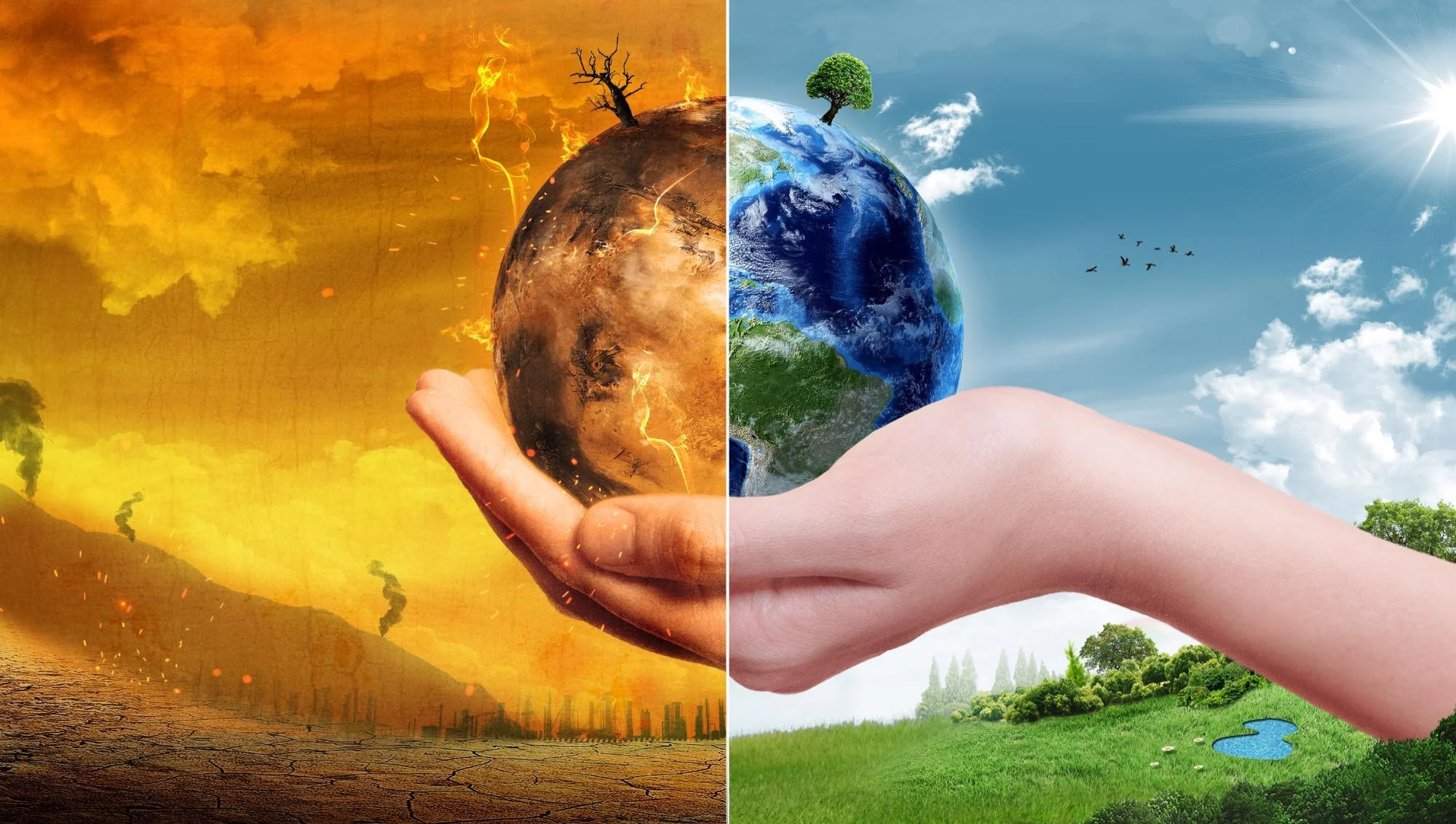 Evaluate the strategies adopted by India to combat climate change and preserve biodiversity.