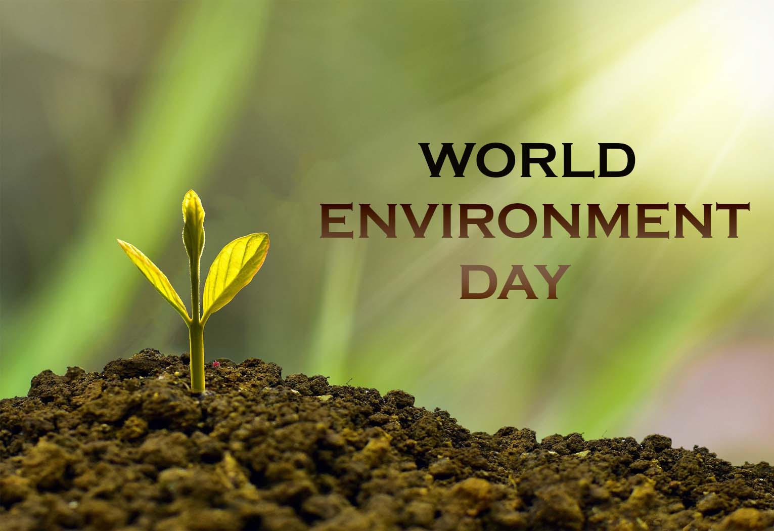 Together for the Planet: Making a Difference on World Environment Day ...